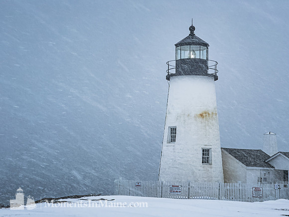 Pemaquid Snow #DRW-103