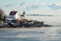 Curtis island Sea Smoke #DT-0087