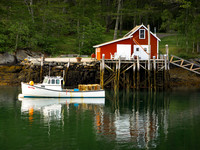 New Harbor Wharf #DT-0066