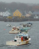 Island Mist #DT-0057