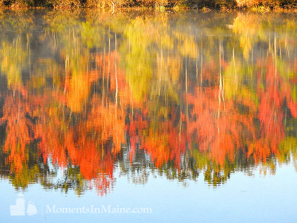Autumn Blur #WMC-007