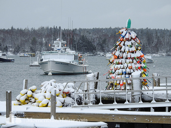 Harbored Dreams at Christmastime #WMC-010