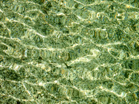 Stirring Allure #WMC-004