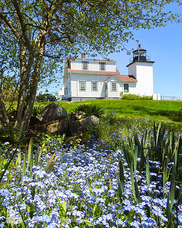 Fort Point Lighthouse #BT-0003