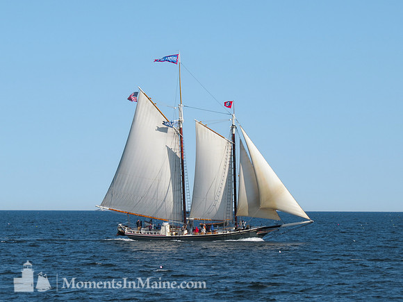 Schooner Stephen Taber #BT-0014