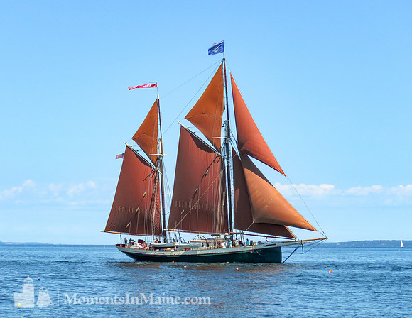 Windjammer Angelique #BT-0011