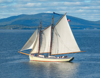 Schooner American Eagle #BT-0013