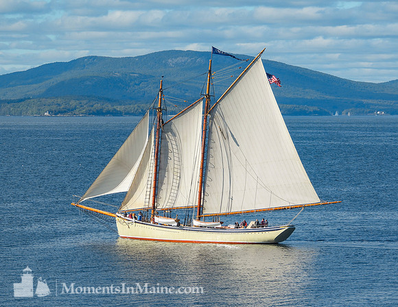 Schooner American Eagle #BT-0013