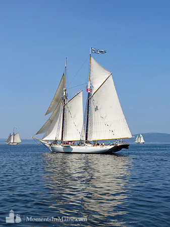 Schooner Mary Day #BT-0021