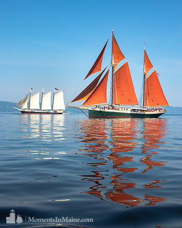 Windjammer Reflections #DT-0102