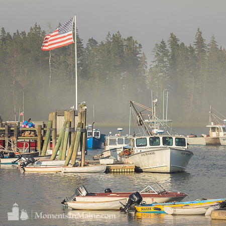Fog Harbor #DT-0043