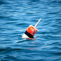 Lobster Buoy #DT-0080