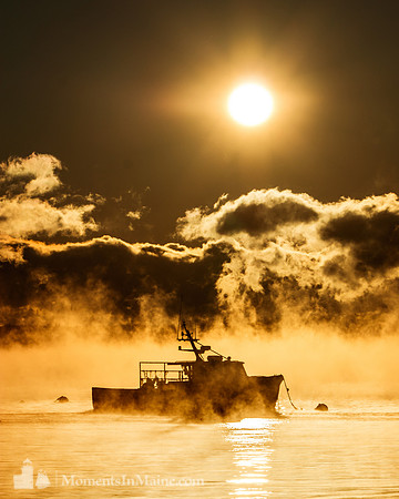 Rockland Harbor Seasmoke #DT-0082
