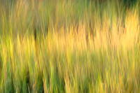 Motion #DT-0070