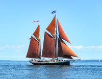 Windjammer Angelique #BT-0011