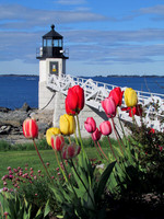 Marshall Point Light #BT-0028