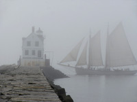 Shrouded in the Fog #BT-0025