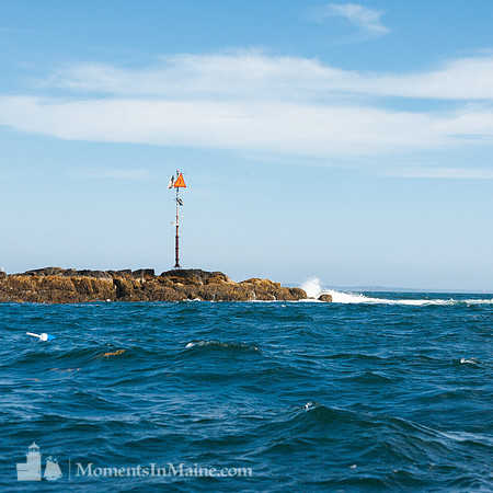 Lowell Rock - Rockport #DT-0108