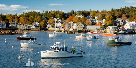 Autumn in Stonington #DT-0118