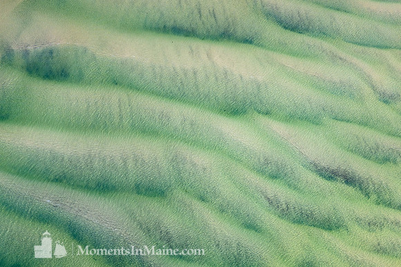 Monomoy Sands #CC-007