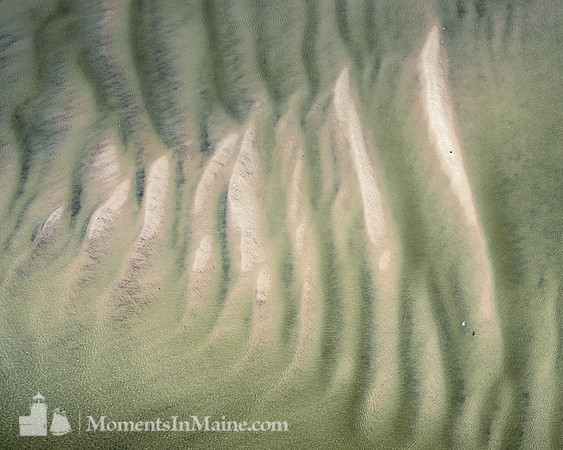 Monomoy Sands II #CC-008