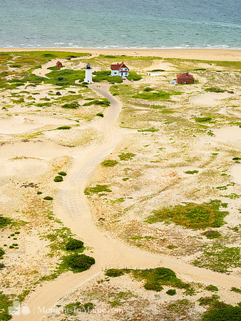 Through the Dunes to Race Point #CC-051