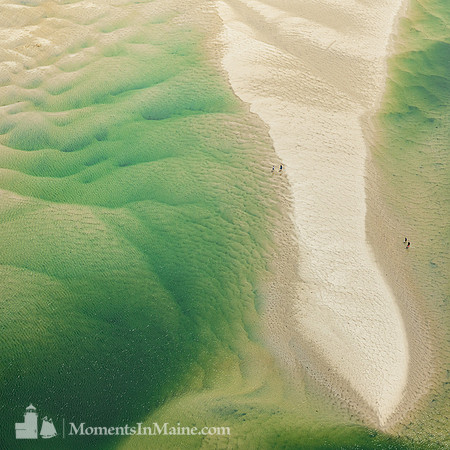 Low Tide Exploration #CC-057