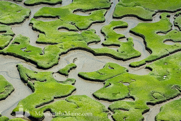 Namskaket Marsh #CC-011