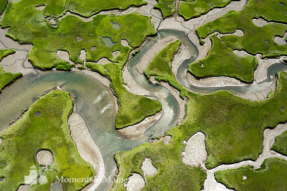 Namskaket Marsh II #CC-056
