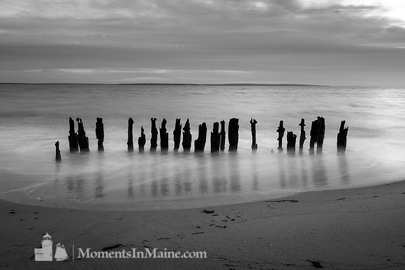 Maravista Pilings #CC-015