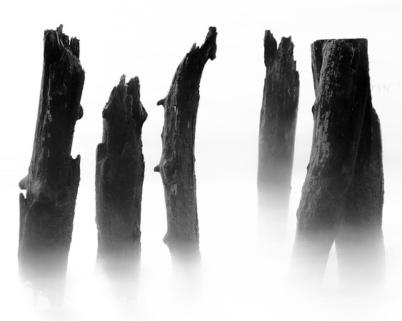 Weathered #CC-027