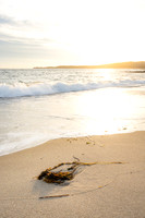 Falmouth Beach Sunset #CC-060
