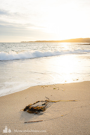 Falmouth Beach Sunset #CC-060