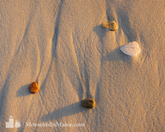 Beach Findings #CC-016