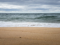 Beach Storm #CC-065
