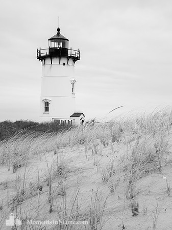 Race Point Black & White #CC-020