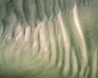 Monomoy Sands II #CC-008