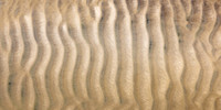 Monomoy Sands III #CC-010