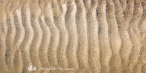 Monomoy Sands III #CC-010