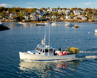 Vixen in Stonington #DT-0126