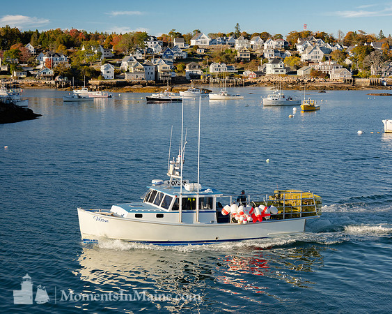 Vixen in Stonington #DT-0126