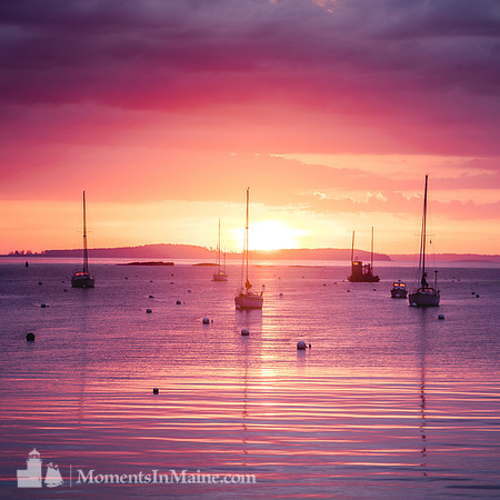 Camden Harbor Sunrise #DT-0139