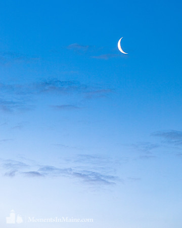 Crescent #DT-0144