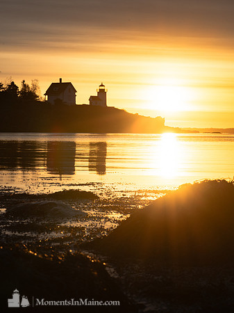 Low Tide Sunrise at Curtis Island #DT-0157