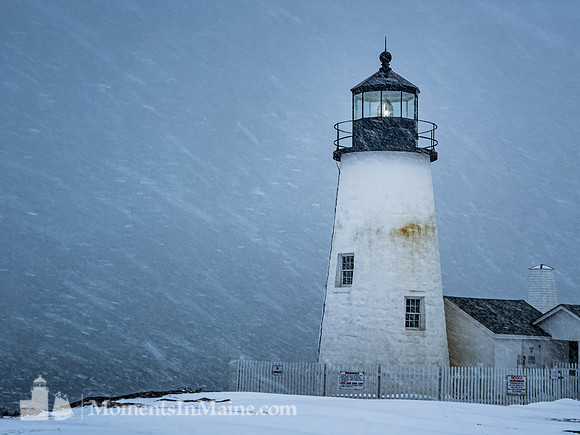 Pemaquid Snow #DT-0033