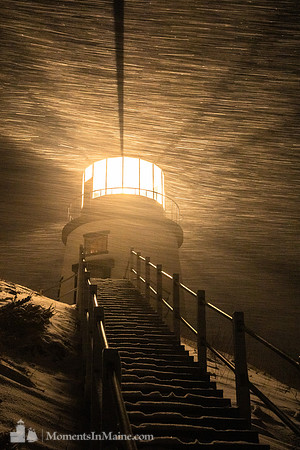 Light in the Storm #DT-0180