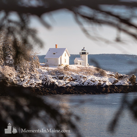 Winter Morning at Curtis Island #DT-0183