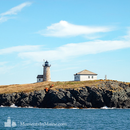 Libby Island Light #DT-0185