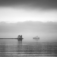 Into the Mist #DT-0191