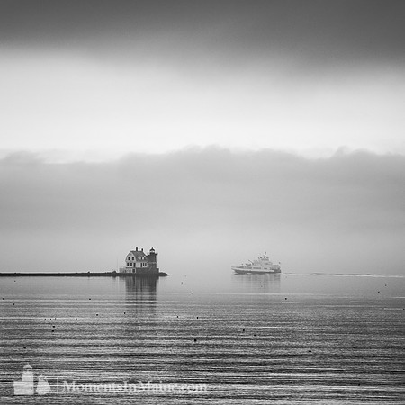 Into the Mist #DT-0191